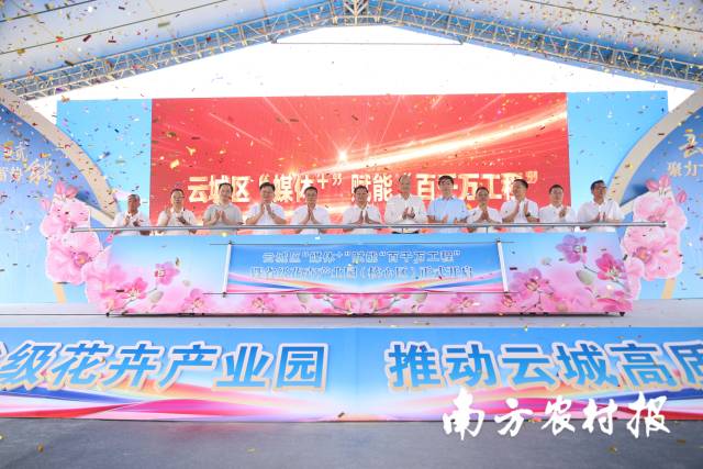 乡村合伙人领航！云浮云城以“媒体+”点亮花卉“美丽经济”