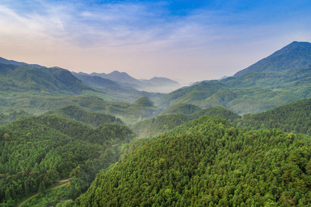 广东怀集三岳省级自然保护区