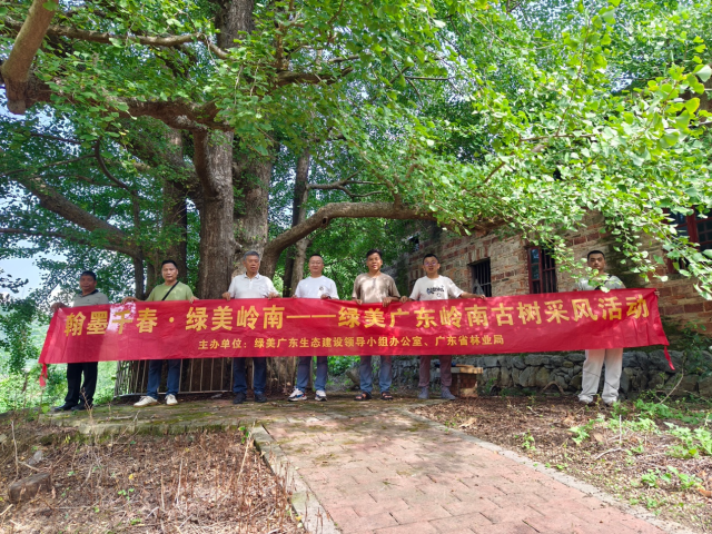 8月9日下午，画家们翻山越岭抵达连州市星子镇清江村委会下辖的大元村古银杏树下。