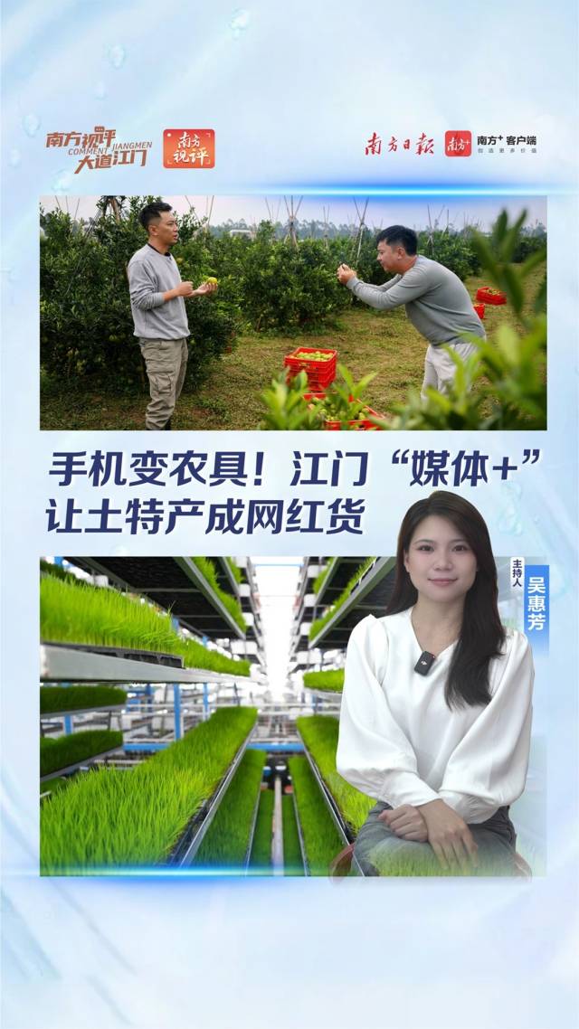 南方视评|手机变农具!江门“媒体+”让土特产成网红货