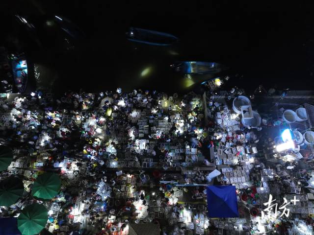 凌晨四点，江洪天光鱼市人头攒动、灯光璀璨。渔船抵岸后，带来开渔后的第一口鲜味。