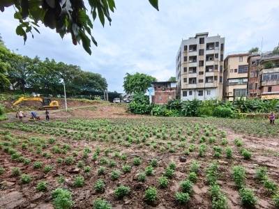 新增病例降至45例！佛山筑牢基孔肯雅热长效防线