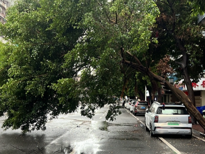 ​​台风“杨柳”致多车受损，保险查勘员快速处置获市民肯定