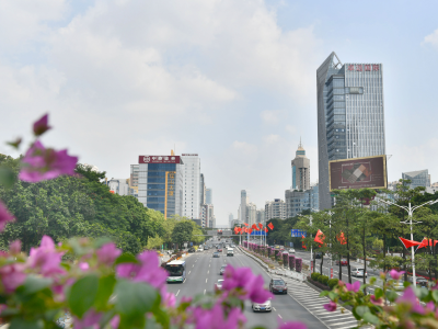 注意！禅城发布基孔肯雅热最新通报