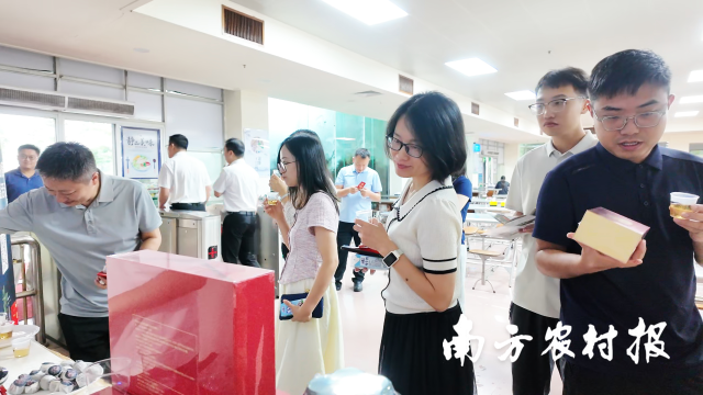 陈皮星油藤健康品鉴活动走进新会区人民政府饭堂。