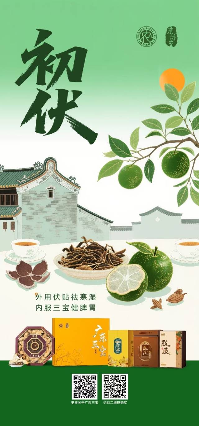 三伏天，有广东三宝