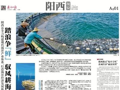 踏浪争“鲜” 驭风耕海｜速览《南方日报·阳西视窗》第195期