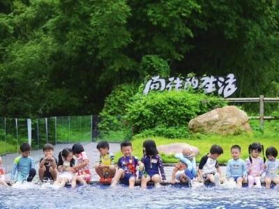 惠州218最美公路，串起东坡诗意的文旅新动脉｜众说百千万⑪