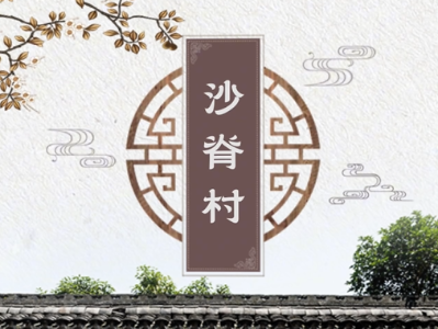 广东省“美丽庭院”特色村——珠海市金湾区沙脊村 | 粤来粤好百千万