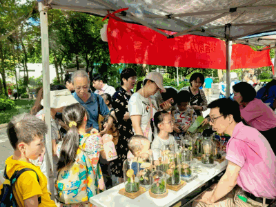 红伞伞，白杆杆……看颜色能辨别公园里的毒蘑菇吗？