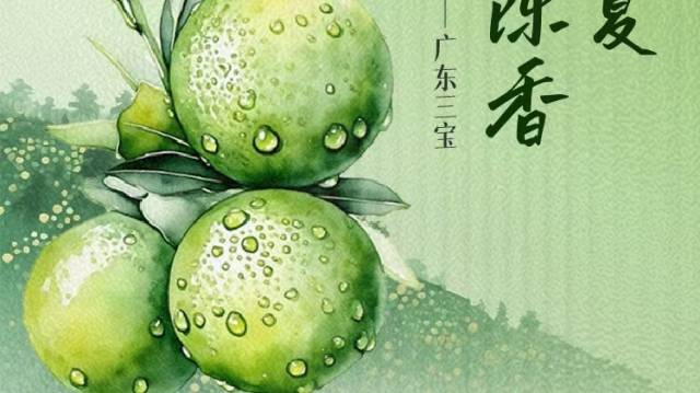 广东三宝·新会陈皮是时光的馈赠