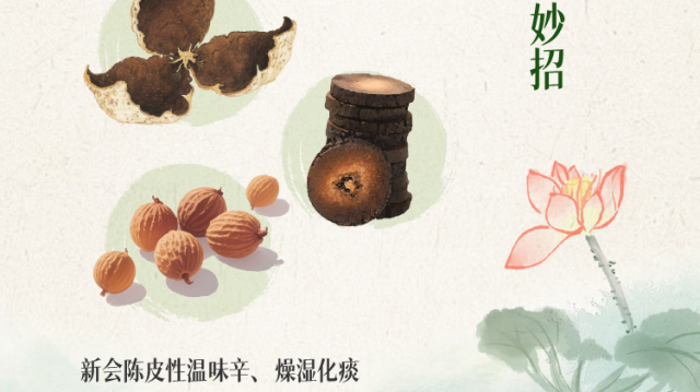 解暑养生，广东三宝有妙招