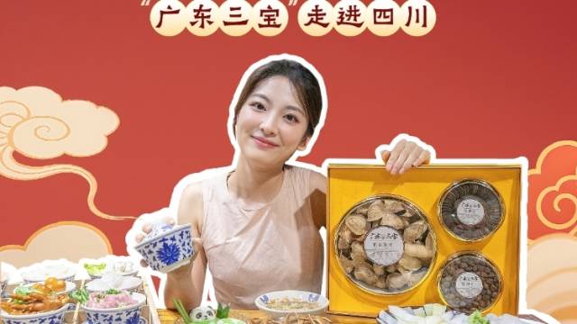 广东三宝，走进四川