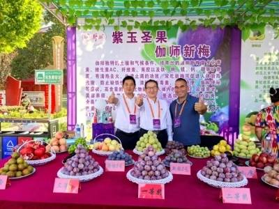 阿力木·伊明：“新梅冠军”背后的科技密码与共富故事