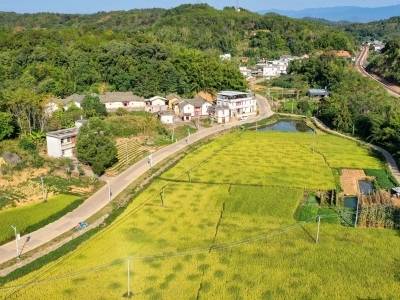 “千亩粮仓”新生记！梅县区畲江镇太湖村土地整治见成效