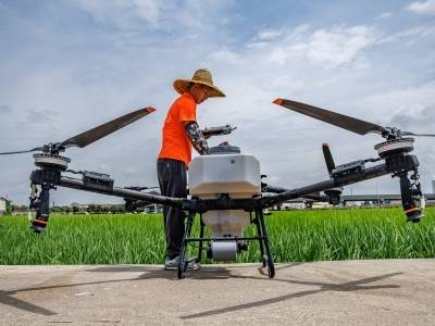 张永发：返乡15年，他在新会稻田掀起一场“智慧革命”｜百千万·新农人