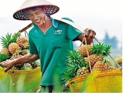 解码徐闻“鲜美经济学”｜速览《南方日报·徐闻视窗》43期