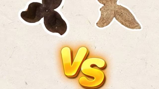 陈皮越黑越好？广东三宝教你选