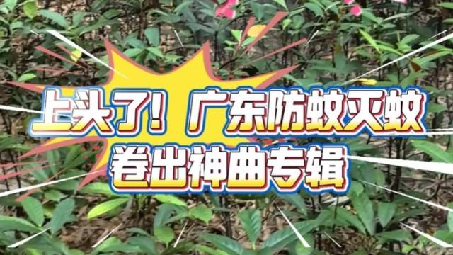 上头了！广东防蚊灭蚊卷出神曲专辑