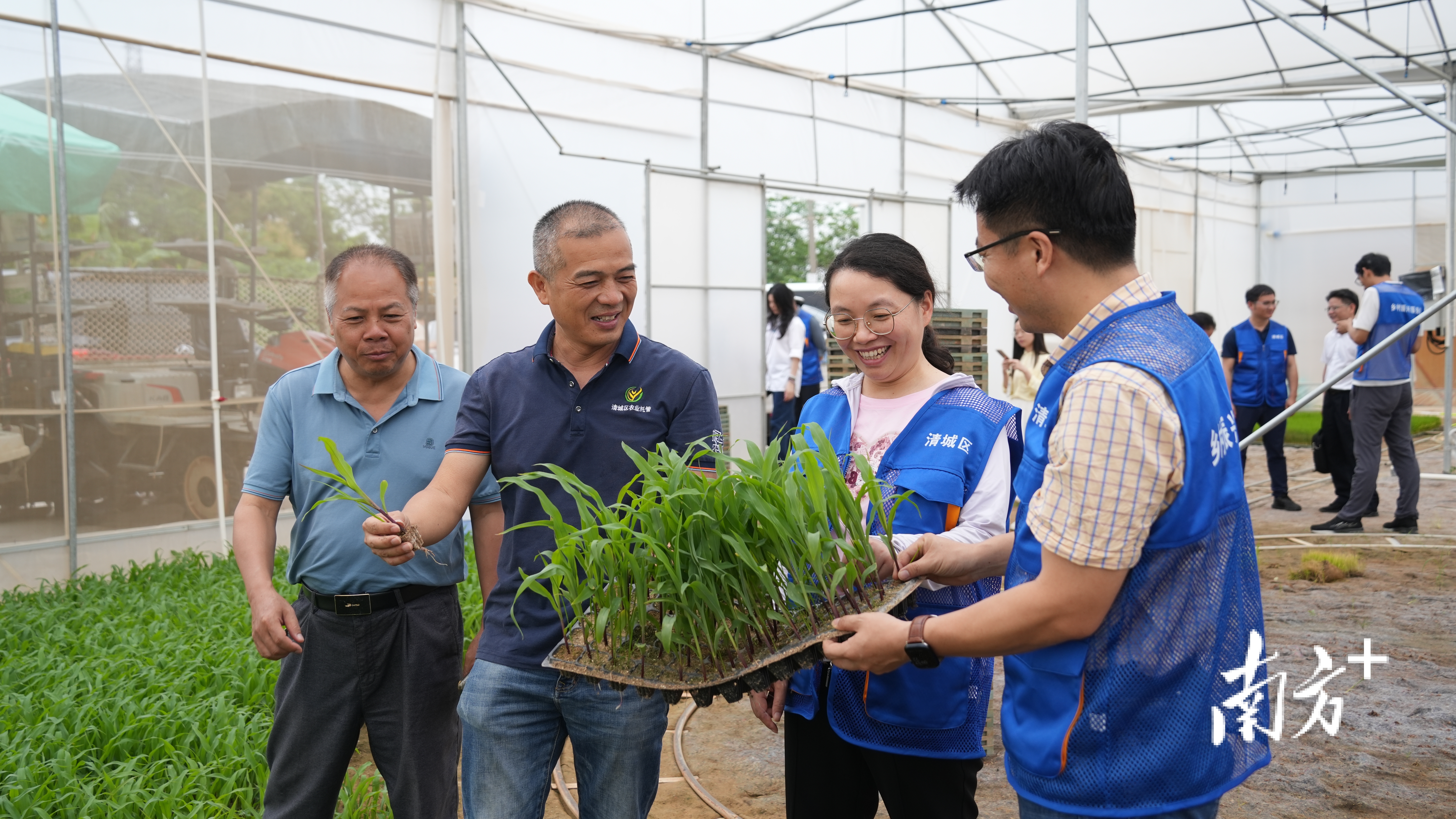 农业专家线下提供技术指导。欧纪元 摄