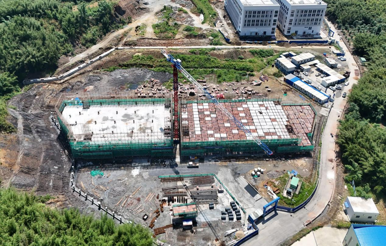 西牛镇以工业化思维打造麻竹笋百亿产业，持续延链、补链、强链。西牛镇供图