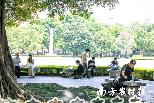 绿美广东岭南古树书画展采风活动。