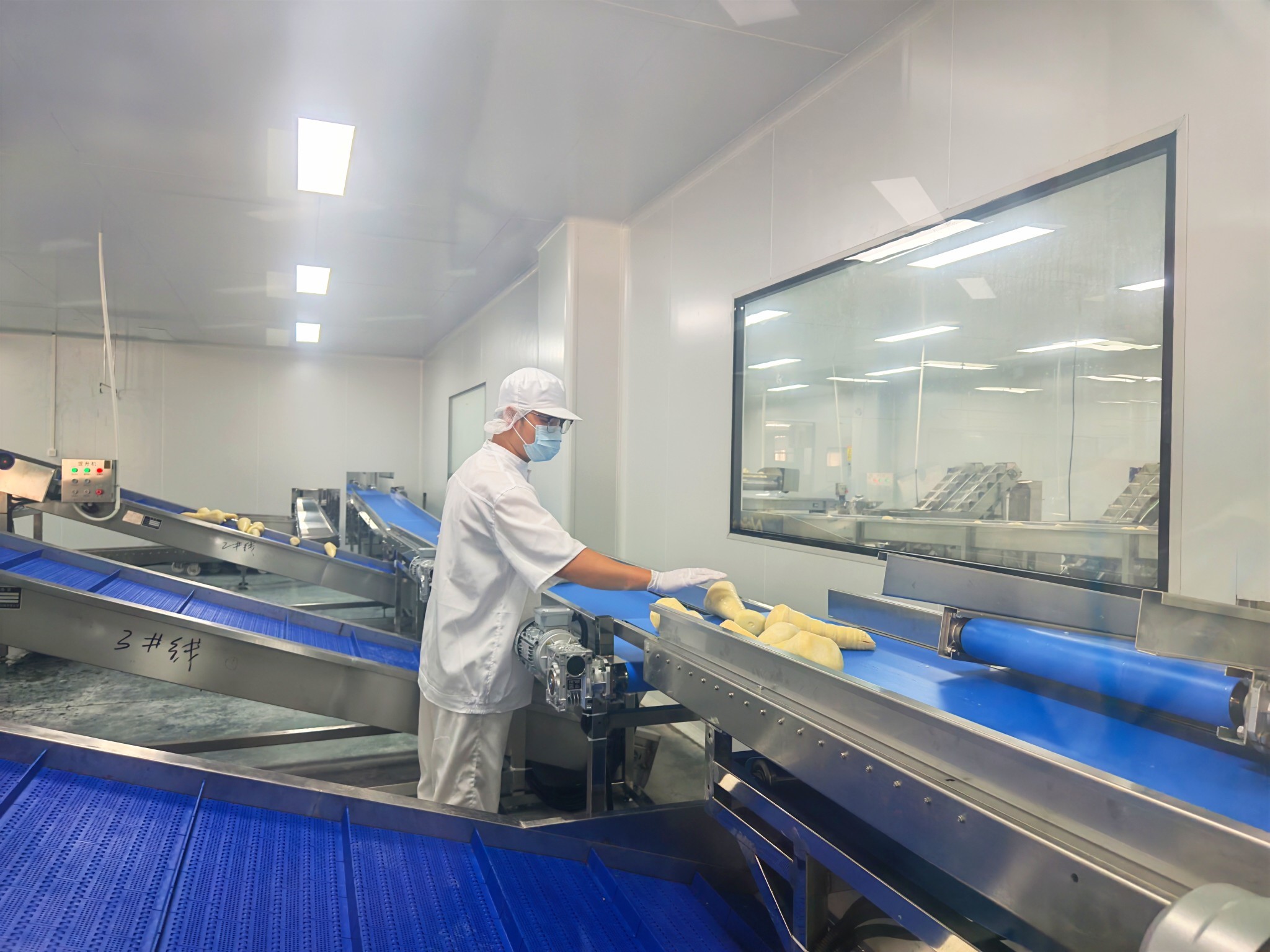 清远农投笋业有限公司生产车间一角。钟履双 摄