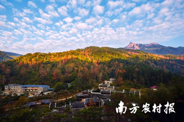 广东新丰云髻山省级自然保护区。罗志忠 摄