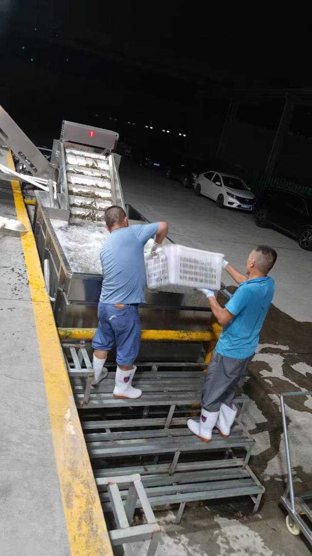 受访者供图
