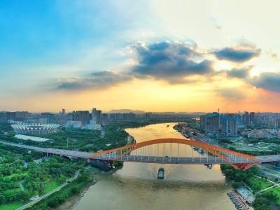 降至个位数！顺德日新增基孔肯雅热病例实现“22连降”