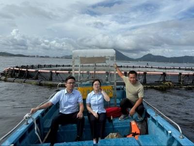 海陵潮涌，金融赋能——建行阳江市分行助力“海丝名城”焕发新光彩