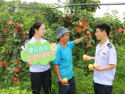 税惠春风助力连州“花果经济”全链升级
