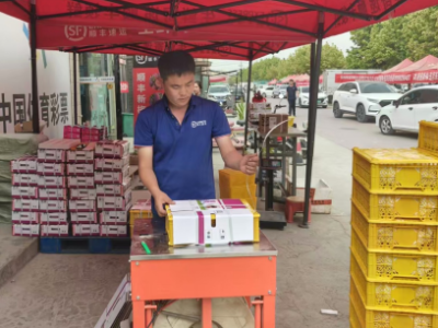 48小时鲜达！伽师新梅“爆单”，广东成最大市场