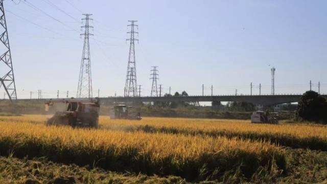 百千万，一起干！“粤来粤好百千万”爆款大赛已征集作品超2000件