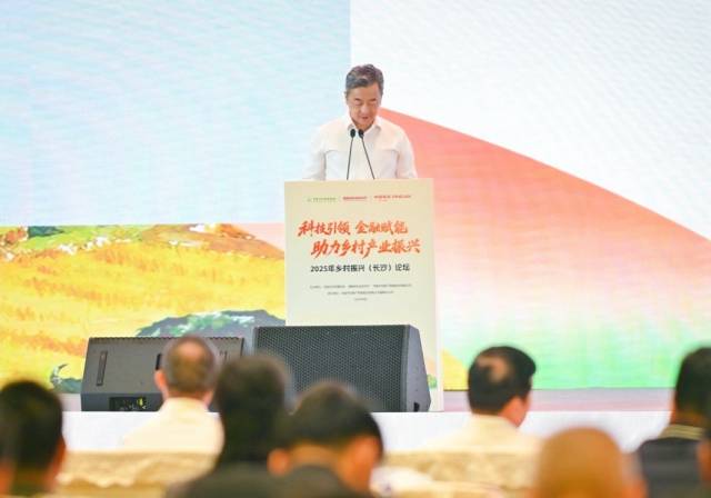 湖南省人民政府副省长陈竞