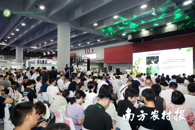 2025年广州消费帮扶展览会暨远方好物仲夏行动产销推介活动开幕式现场。