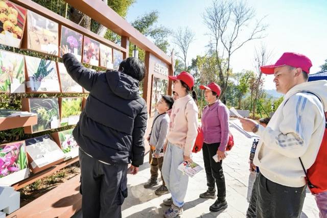 ▲木岗山郊野公园