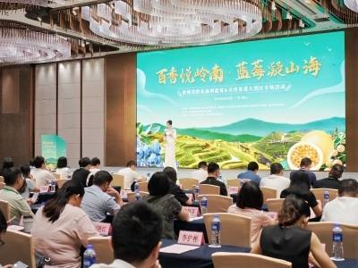 72小时鲜达湾区！佛山助黔货出山