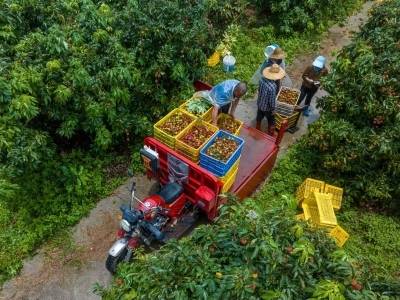 达成合作意向+10！“阳硒优品”选品考察团到田间地头寻找“源头好物”