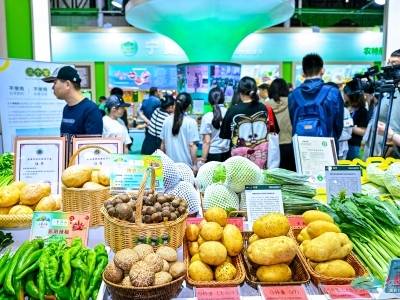 48小时冷链直达！老广可“鲜尝”宁夏固原“高原味道”