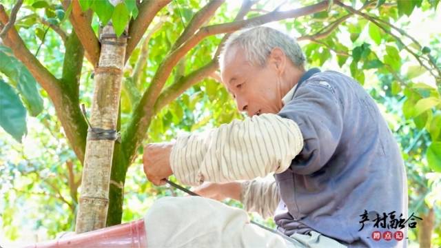 广东养老护理服务人员缺口大，银发经济等新消费需求旺盛