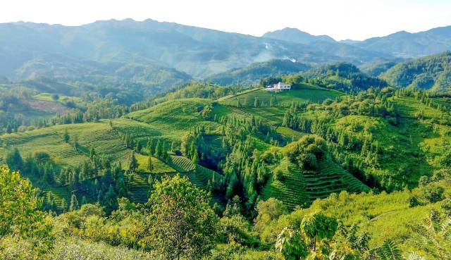 贵州风光秀美，有山地公园省美誉。