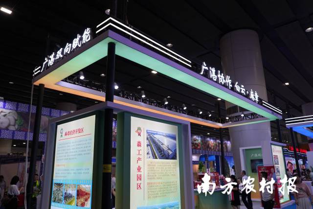 麻章特色好物亮相广州博览会，白云・麻章协作助推“湛品入湾”