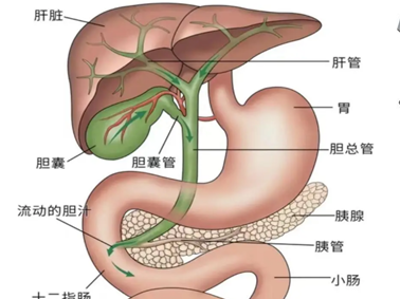 切除胆囊之后应该怎么吃？