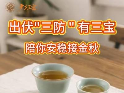 出伏“三防”有三宝，陪你安稳接金秋