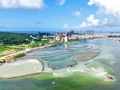 阳西“网红打卡点”即将上新！沙扒镇海仔湖栈道预计今年底建成