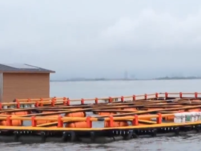 揭阳：深耕蓝色沃土，现代化海洋牧场按下“加速键”