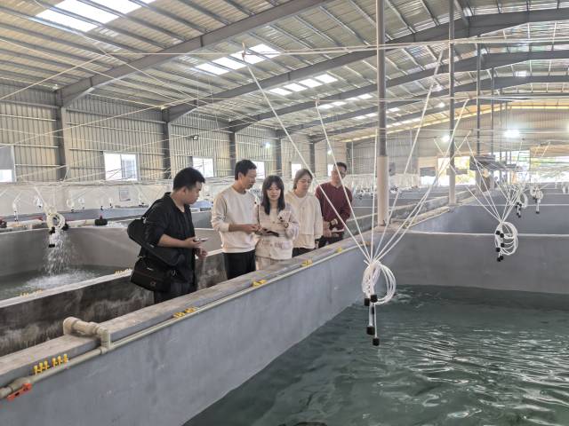 饶平县万佳省级花鲈良种场种苗培育车间