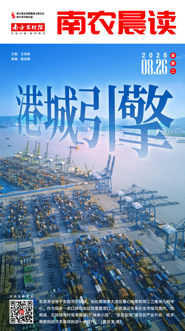 南农晨读丨港城引擎