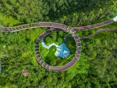 一种坚守：生态与经济共舞的梦想｜珠海经济特区建立45周年